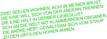 Zwei Seelen wohnen, ach! in meiner Brust, die eine will sich von der andern trennen: Die eine hält in derber Liebeslust sich an die Welt mit klammernden Organen; die andre hebt gewaltsam sich vom STAUP zu den Gefilden hoher Ahnen.